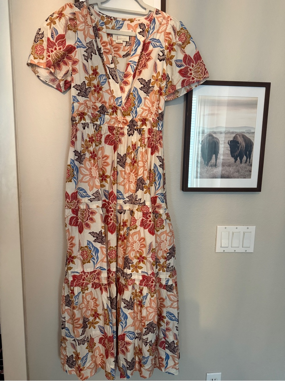 Anthropologie Cream Floral V-Neck Maxi Dress with Red, Blue & Brown Accents